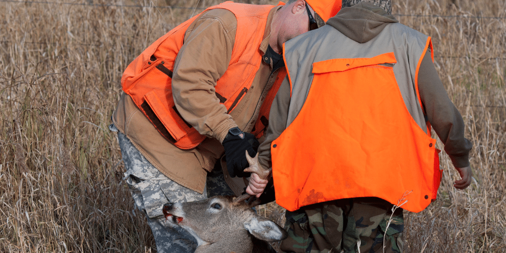 Safety Tips for a Successful Deer Hunting Season